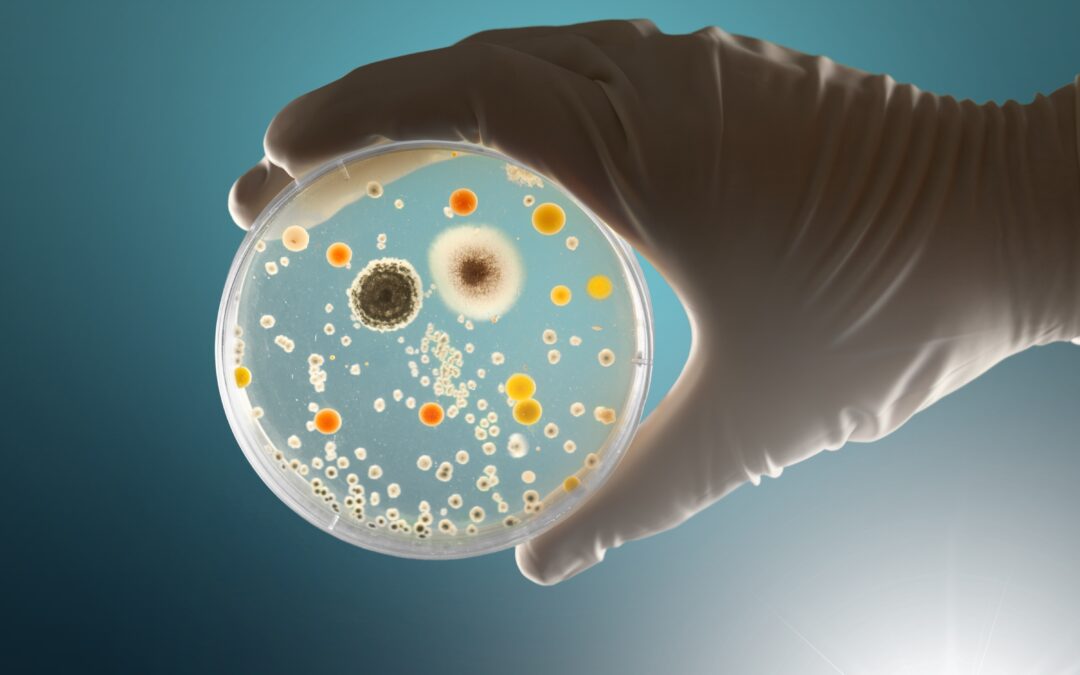 El bacteriostático: Higiene en los espacios comerciales